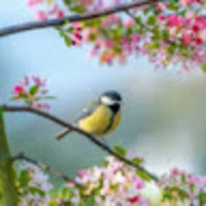 Meet your Posher, Inas